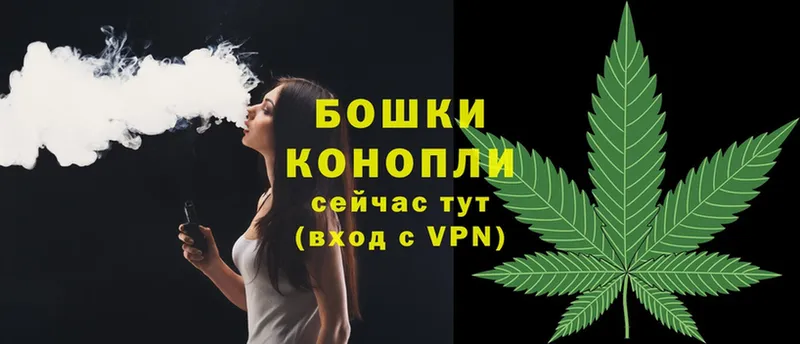 Бошки марихуана SATIVA & INDICA  omg ССЫЛКА  Буй  где продают наркотики 